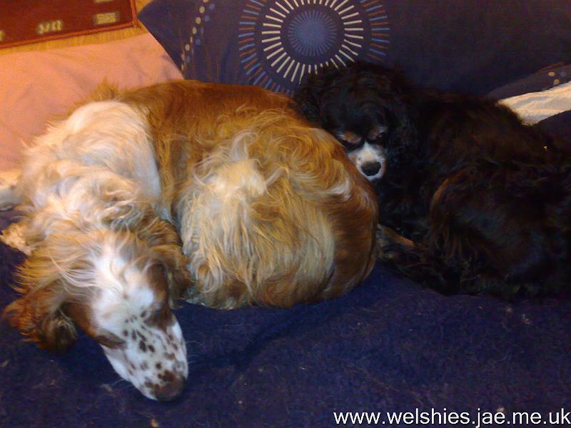 2010-09-26 04.jpg - He's not heavy...he's my bruvver...